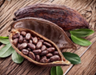 Cacao
