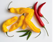 Chilipaper